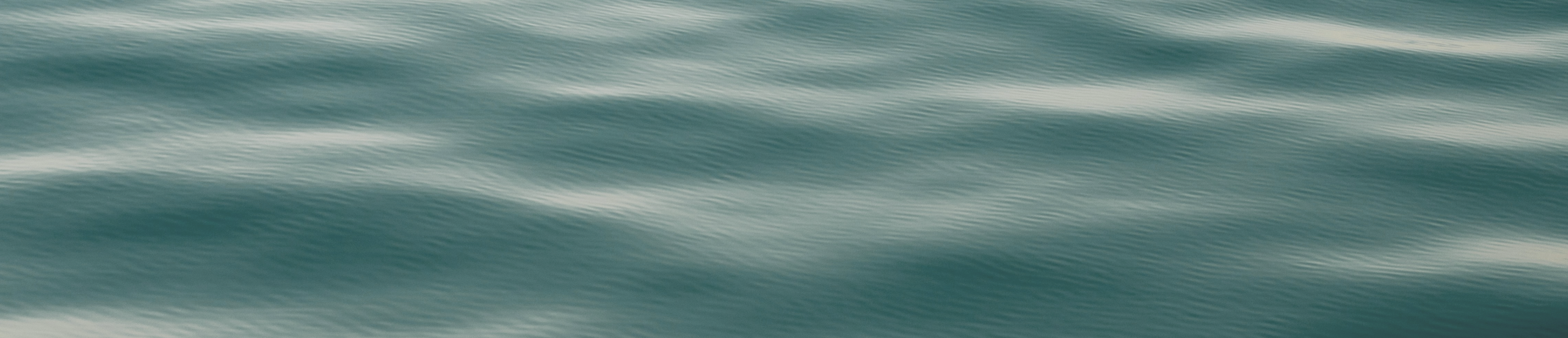 Desktop Banner